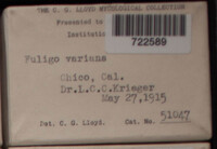 Image Associated With the Occurence